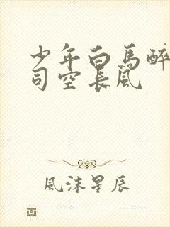 少年白马醉春风司空长风