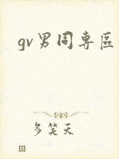 gv男同专区