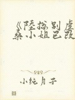 《陆总别虐了,桑小姐已改嫁》桑小姐