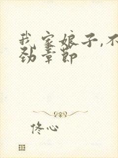 我家娘子,不对劲章节