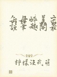 缶母醉美宋城小说笔趣阁最新章节更封面