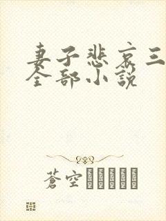 妻子悲哀三部曲全部小说封面