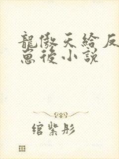 龙傲天给反派怀崽后小说
