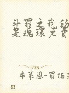 斗罗之我的武魂是魂环免费阅读全文封面