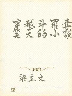 穿越斗罗夺舍风笑天的小说