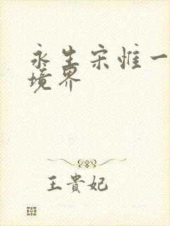 永生宋惟一什么境界封面