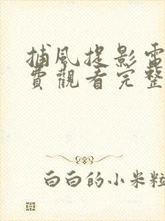 捕风捉影电影免费观看完整国语高清