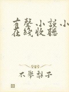 有声小说小苮儿在线收听