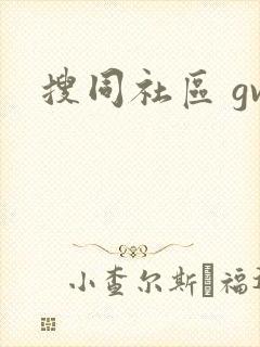 搜同社区 gv