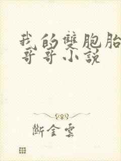 我的双胞胎骚货哥哥小说