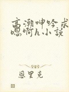 高潮呻吟求饶h嗯啊h小说