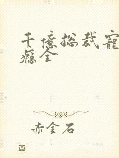 千亿总裁宠妻成瘾全封面