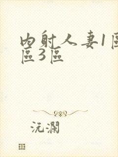 内射人妻1区2区3区封面