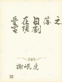 爱在日落之前 电视剧