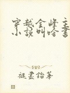 穿越金峰主角的小说叫啥书名封面