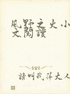 风野之火小说全文阅读封面