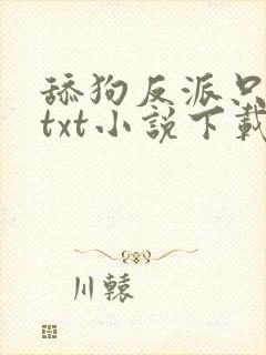 舔狗反派只想苟txt小说下载