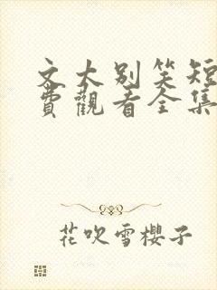 文太别笑短剧免费观看全集高清版