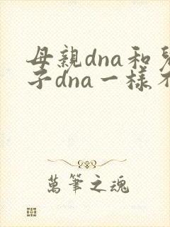 母亲dna和儿子dna一样不