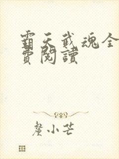 霸天武魂全文免费阅读封面