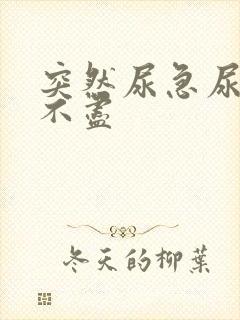 突然尿急尿频尿不尽