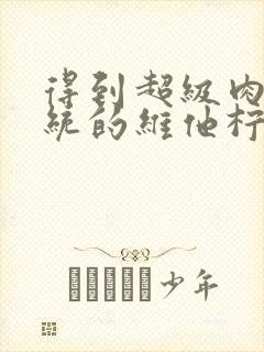 得到超级肉禽系统的维他柠檬茶