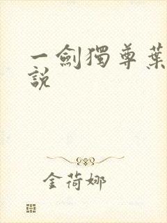 一剑独尊叶玄小说封面