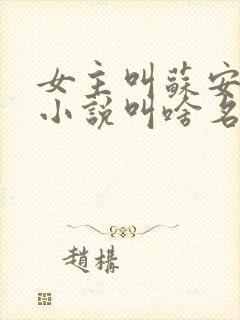 女主叫苏安然的小说叫啥名