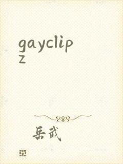 gayclipz封面