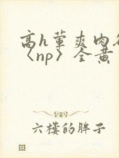 高h荤爽肉欲文〈np〉全黄