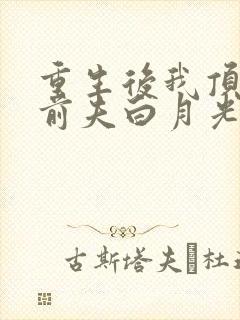 重生后我顶替了前夫白月光大概剧情