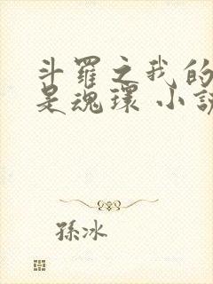 斗罗之我的武魂是魂环 小说下载txt