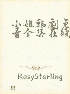 小姐韩剧免费观看全集在线高清