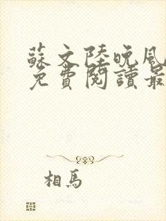 苏文陆晚风小说免费阅读最新章节