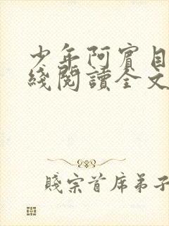 少年阿宾目录在线阅读全文