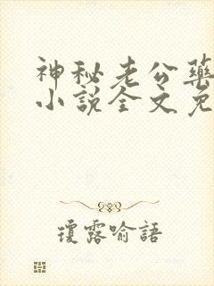 神秘老公药别停小说全文免费阅读