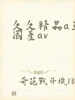 久久精品a亚洲国产av