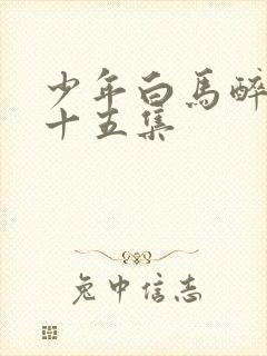 少年白马醉春风十五集