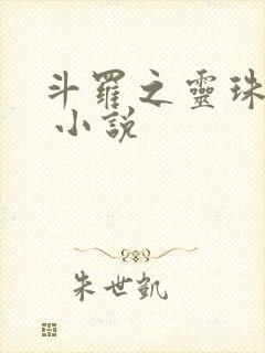 斗罗之灵珠神剑 小说