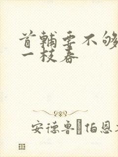 首辅要不够po一枝春