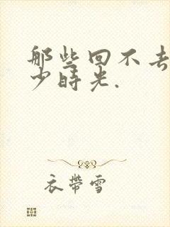 那些回不去的年少时光.封面