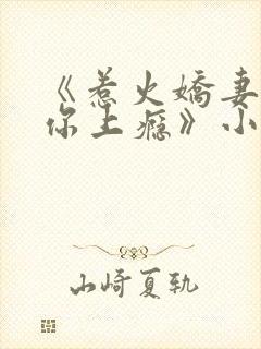 《惹火娇妻,宠你上瘾》小说封面