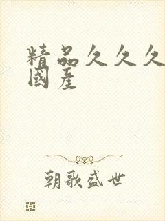 精品久久久久久国产