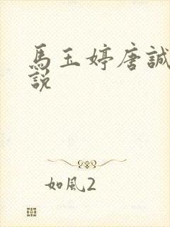 马玉婷唐诚的小说