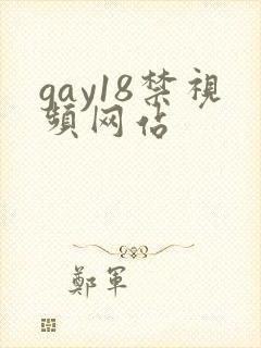 gay18禁视频网站