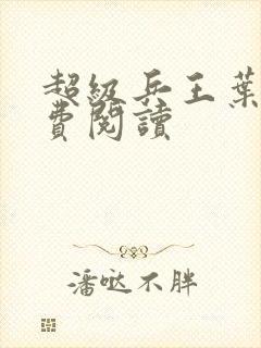 超级兵王叶谦免费阅读