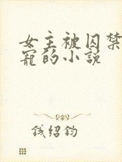 女主被囚禁当禁宠的小说