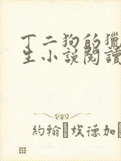 丁二狗的猎艳人生小说阅读