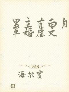 男主有白月光的军婚虐文