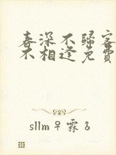 春深不归客清梦不相逢免费小说